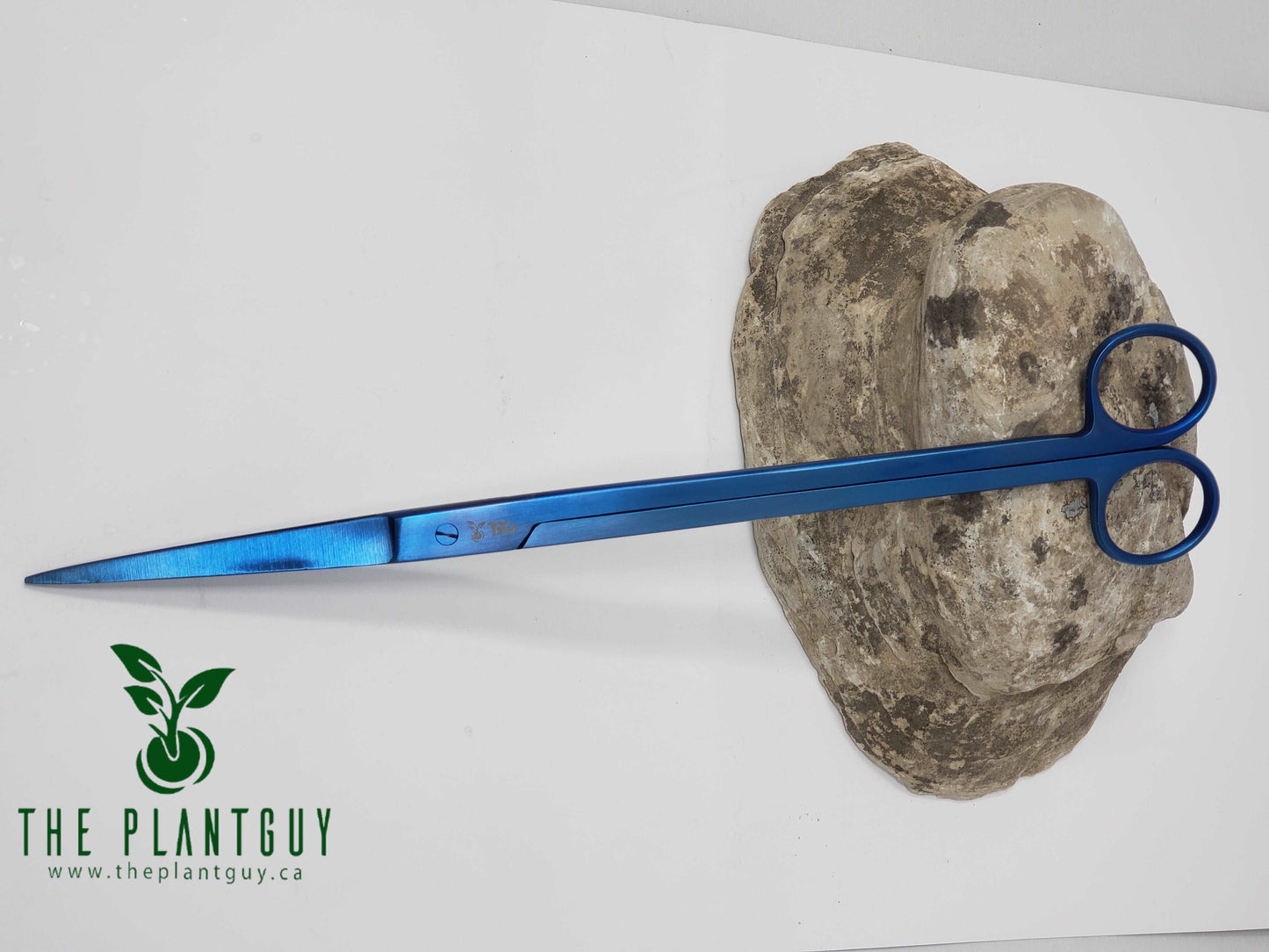 PRO SCISSOR STRAIGHT - 25CM