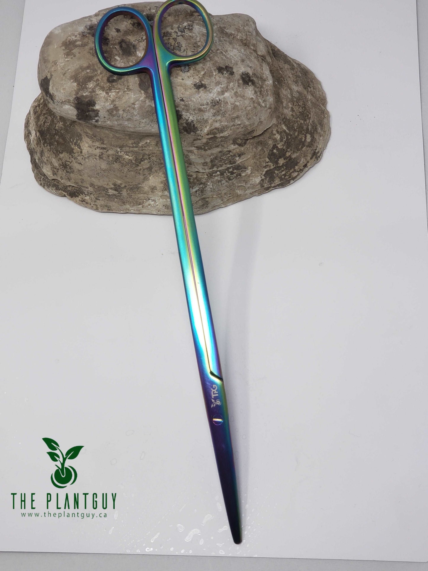 AQUA SCISSOR STRAIGHT - 25CM