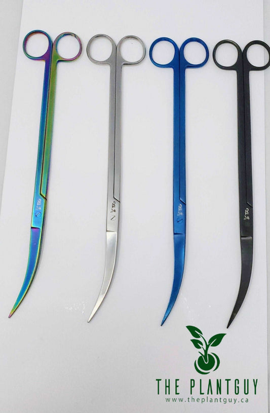 Pro Scissor Curved- 25CM
