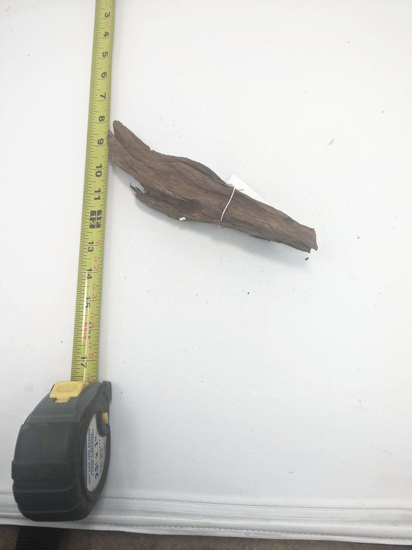 Malaysian Driftwood (Tropica) #1