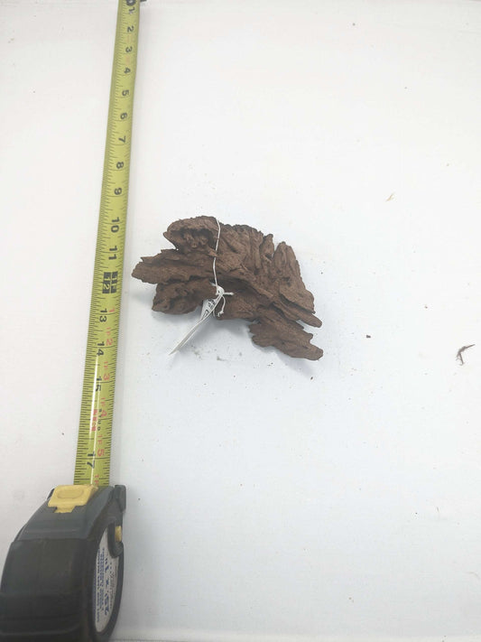 Malaysian Driftwood (Tropica) #4