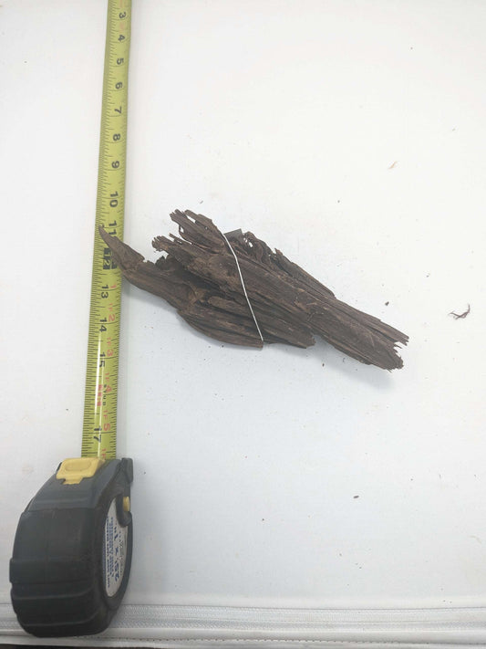 Malaysian Driftwood (Tropica) #8