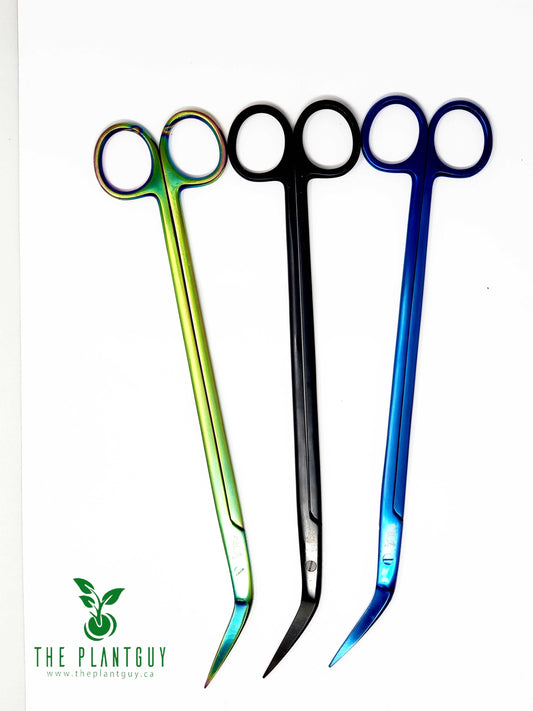 PRO KELLY PLANT SCISSOR- 25CM