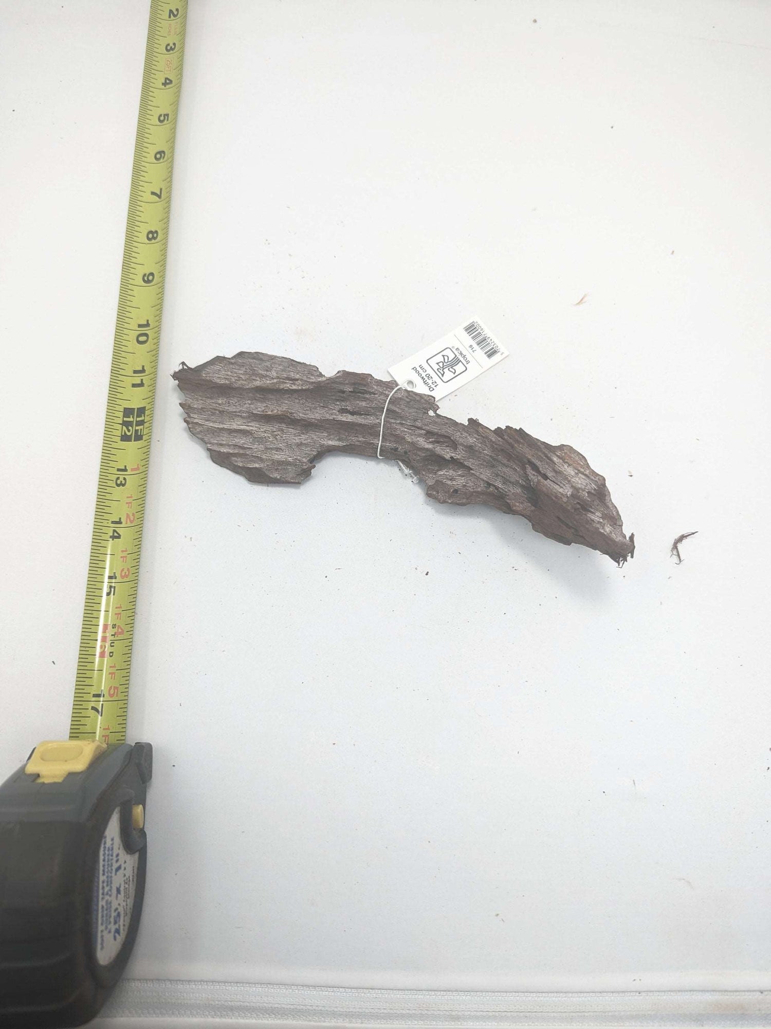 Malaysian Driftwood (Tropica) #3