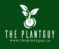 The PlantGuy
