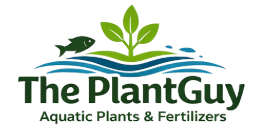The PlantGuy